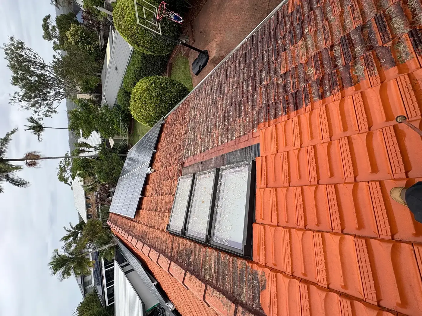 Roof cleaning in progress – professional team at work